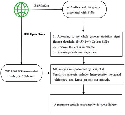 The causal relationship between gut microbiota and type 2 diabetes: a two-sample Mendelian randomized study